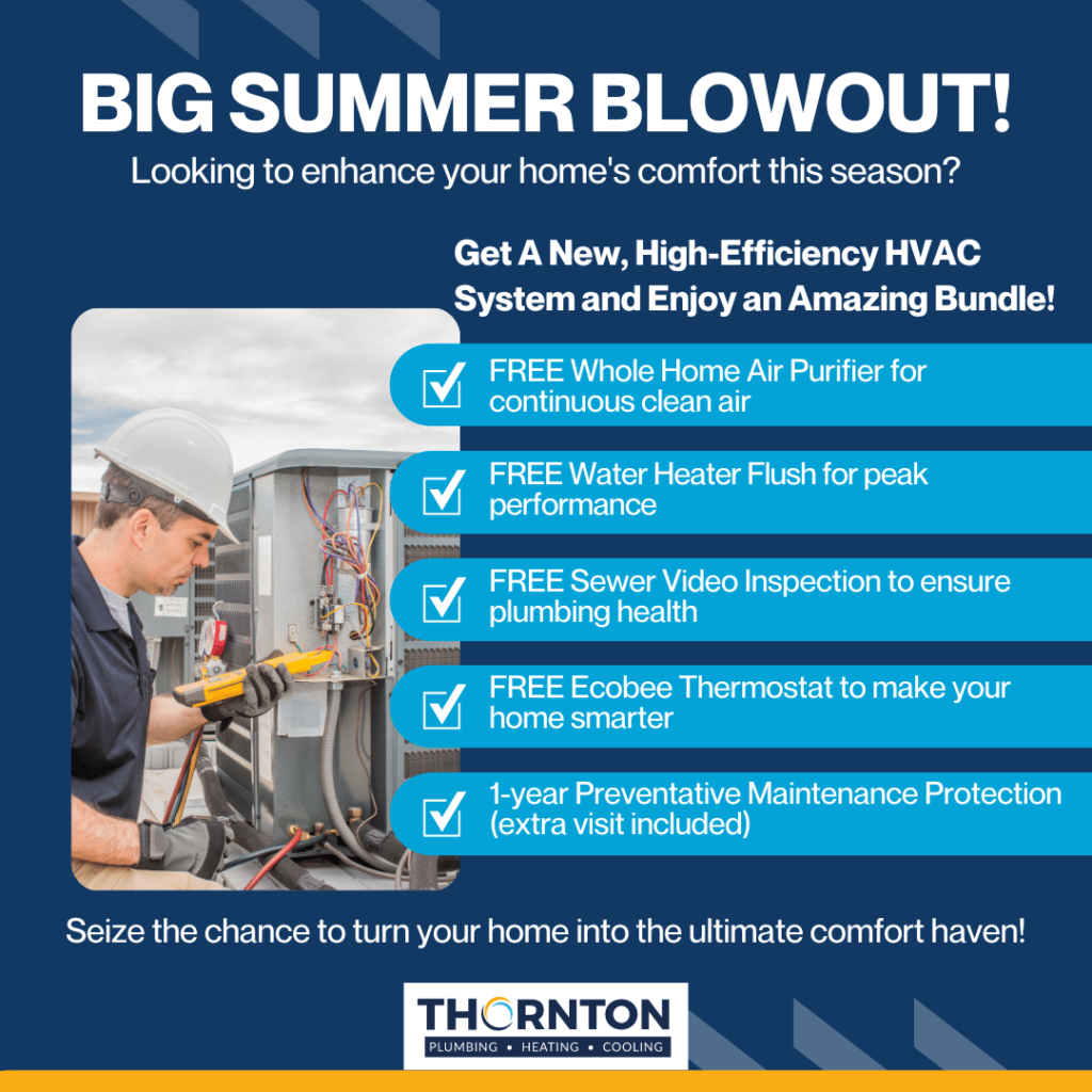 Big Summer Blowout! - Thornton