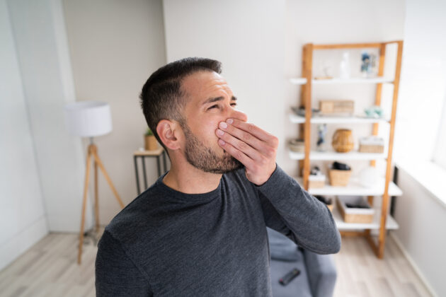 Musty Smells That Never Go Away: How Indoor Air Quality Solutions Address Odors